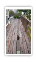 yongin deck remodeling 00003.JPG